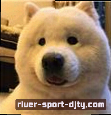 王磊